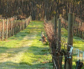 Sandhurst Ridge - Tourism Brisbane 1