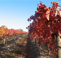 Kooyonga Creek Wines - Tourism Brisbane