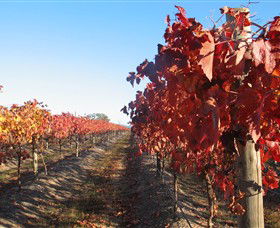 Kooyonga Creek Wines - Brisbane Tourism 0