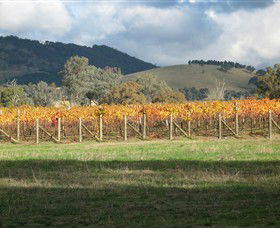 Kooyonga Creek Wines - Brisbane Tourism 4