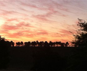 Kooyonga Creek Wines - Brisbane Tourism 2