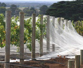 Paradigm Hill - Tourism Brisbane 1