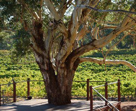 Upper Reach Winery And Cellar Door - Tourism Brisbane 1