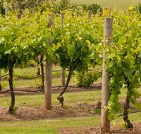 Mt Coghill Vineyard - Brisbane 4u