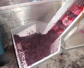 Cannibal Creek Vineyard - Tourism Brisbane 6