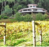 Peveril Vineyard/Beechy Berries - Brisbane Tourism