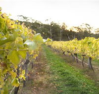 Harcourt Valley Vineyards - Brisbane 4u
