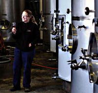 Holm Oak Vineyard - Tourism Brisbane