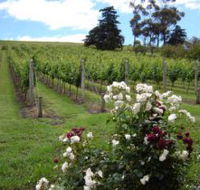Pembroke Estate Vineyard - Brisbane Tourism