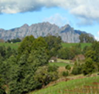 Lake Barrington Vineyard - Tourism Brisbane