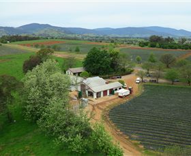 Allans Flat VIC Tourism Brisbane