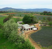 Schmidts Strawberry Winery - Tourism Brisbane