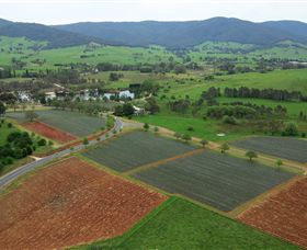 Schmidts Strawberry Winery - Tourism Brisbane 1