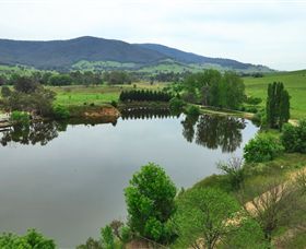 Schmidts Strawberry Winery - Tourism Brisbane 2