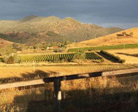 Optimiste Wines - Brisbane Tourism 0