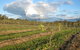 Flyfaire Wines - thumb 7
