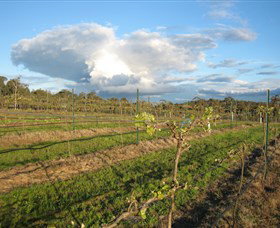 Flyfaire Wines - Tourism Brisbane 7