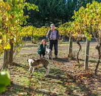 Little River Wines of Taggerty - Tourism Brisbane