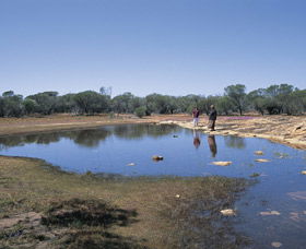 Camel Soak - Tourism Brisbane 0