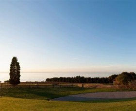 Jack Rabbit Vineyard - Brisbane Tourism 3