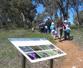 South Gundagai Woodlands Walk - Tourism Brisbane 0