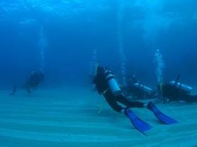 Man And Wife Rocks Dive Site - Brisbane Tourism 0