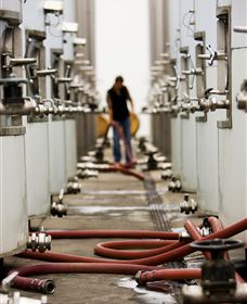 Punt Road Winery - Tourism Brisbane 5