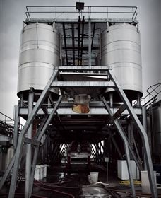 Punt Road Winery - Tourism Brisbane 8