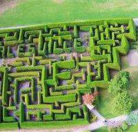 Hedgend Maze and Healesville Laser Sport - Tourism Brisbane