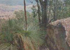 Mount Lawson State Park - Brisbane Tourism 0