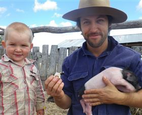 Gleneden Organic Farm And The Gleneden Bullock Team - Brisbane 4u 2