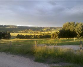 Gleneden Organic Farm And The Gleneden Bullock Team - Brisbane 4u 0