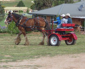 Bathurst Farm Experience - Tourism Brisbane 3