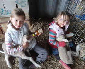 Bathurst Farm Experience - Tourism Brisbane 4