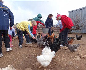 Bathurst Farm Experience - Tourism Brisbane 2