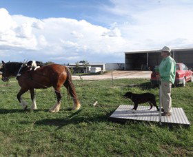 Bathurst Farm Experience - Tourism Brisbane 6
