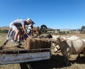 Bathurst Farm Experience - Tourism Brisbane 5