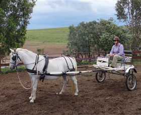 Bathurst Farm Experience - Tourism Brisbane 8