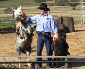 Boggy Creek Shows - Tourism Brisbane 2