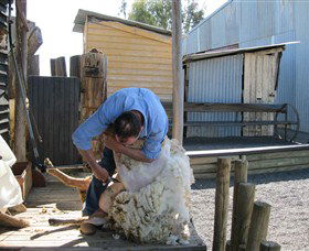 Boggy Creek Shows - Tourism Brisbane 4