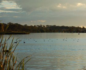 Lake Inverell Reserve - Tourism Brisbane 0