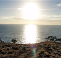 Southend Curtis Island - Tourism Brisbane