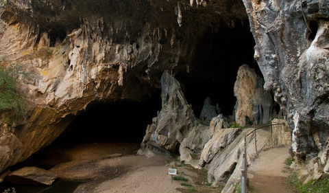 Abercrombie Karst Conservation Reserve - Brisbane Tourism 2