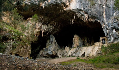 Abercrombie Karst Conservation Reserve - Brisbane Tourism 3