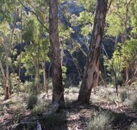 Mount Gray walking track - Brisbane 4u