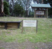 Shelley Forest Camp - Brisbane Tourism