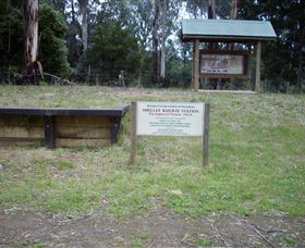 Shelley Forest Camp - Brisbane Tourism 0