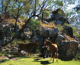  Tourism Brisbane