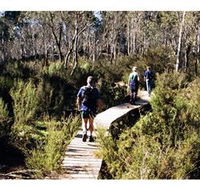Hume and Hovell Walking Track - Henry Angel Trackhead - Tourism Brisbane