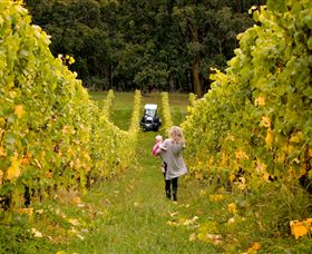 Polperro Winery - Tourism Brisbane 7